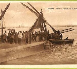ad3525 - PORTUGAL - VINTAGE POSTCARD  -  Lisboa
