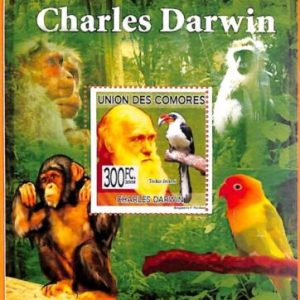 A5611 - COMOROS - ERROR, 2009, MISPERF SOUVENIR SHEET: Darwin, Birds, Monkeys