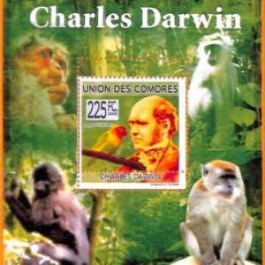 A5614 - COMOROS - ERROR, 2009, MISPERF SOUVENIR SHEET: Darwin, Birds, Monkeys