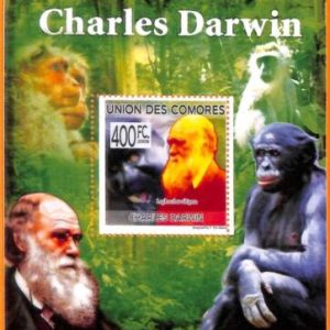 A5616 - COMOROS - ERROR, 2009, MISPERF SOUVENIR SHEET: Darwin, Monkeys