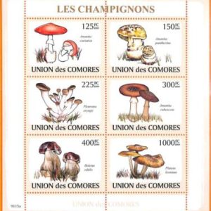 A5621 - COMOROS - ERROR, 2009, MISPERF MINIATURE SHEET: Mushrooms