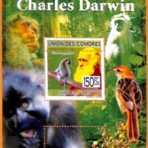 A5612 - COMOROS - ERROR, 2009, MISPERF SOUVENIR SHEET: Darwin, Birds, Monkeys