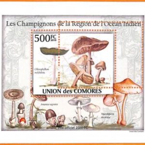 A5619 - COMOROS - ERROR, 2010 MISPERF SOUVENIR SHEET: Mushrooms of Indian Ocean