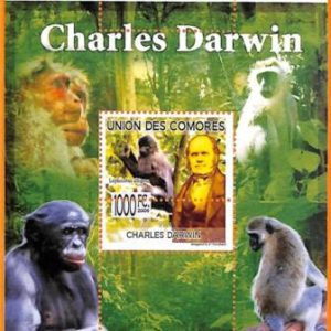 A5615 - COMOROS - ERROR, 2009, MISPERF SOUVENIR SHEET: Darwin, Monkeys