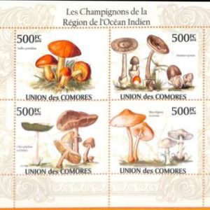 A5620 - COMOROS - ERROR, 2010 MISPERF MINIATURE SHEET: Mushrooms of Indian Ocean
