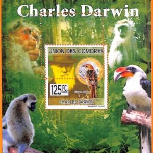A5613 - COMOROS - ERROR, 2009, MISPERF SOUVENIR SHEET: Darwin, Birds, Monkeys