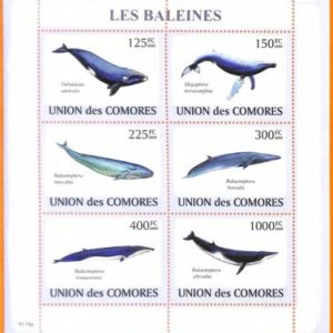 A5604 - COMOROS - ERROR, 2009, MISPERF MINIATURE SHEET: Whales, Marine life