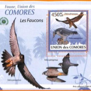 A5588 - COMOROS - ERROR, 2009, MISPERF SOUVENIR SHEET: Birds, Falcons