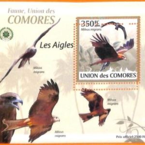 A5582 - COMOROS - ERROR, 2009, MISPERF SOUVENIR SHEET: Birds, Eagles