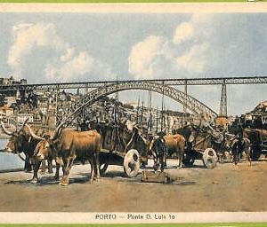 ad3632 - PORTUGAL - VINTAGE POSTCARD  - PORTO