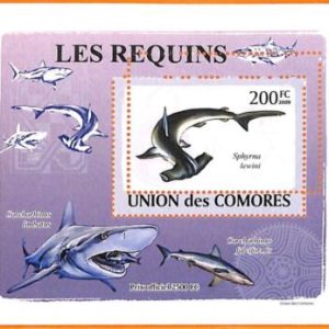 A5593 - COMOROS - ERROR, 2009 MISPERF SOUVENIR SHEET: Hammer Sharks, Marine Life