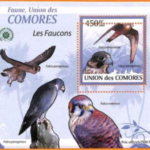 A5587 - COMOROS - ERROR, 2009, MISPERF SOUVENIR SHEET: Birds, Falcons