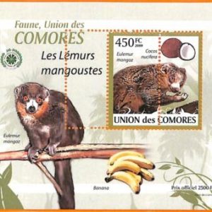 A5585 - COMOROS - ERROR, 2009 MISPERF SOUVENIR S: Mongoose lemurs, Fauna, Fruits