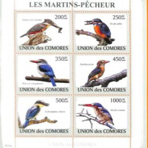 A5580 - COMOROS - ERROR, 2009, MISPERF MINIATURE SHEET: Birds, Kingfishers