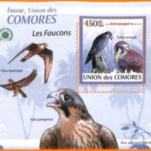 A5586 - COMOROS - ERROR, 2009, MISPERF SOUVENIR SHEET: Birds, Falcons