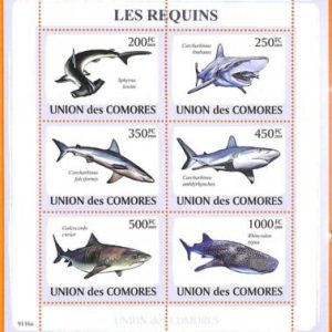 A5603 - COMOROS - ERROR, 2009, MISPERF MINIATURE SHEET: Sharks, Marine life