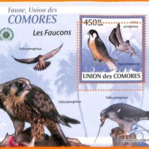 A5590 - COMOROS - ERROR, 2009, MISPERF SOUVENIR SHEET: Birds, Falcons