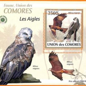 A5589 - COMOROS - ERROR, 2009, MISPERF SOUVENIR SHEET: Birds, Eagles