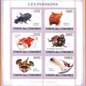A5596 - COMOROS - ERROR, 2009, MISPERF MINIATURE SHEET: Fish, Marine Life