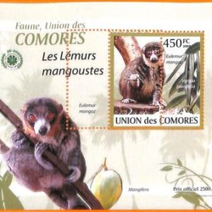 A5584 - COMOROS - ERROR, 2009, MISPERF SOUVENIR SHEET: Mongoose lemurs, Fauna