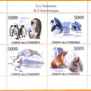 A5598 - COMOROS - ERROR, 2010 MISPERF MINIATURE SHEET: Orcas, Penguins, Seals