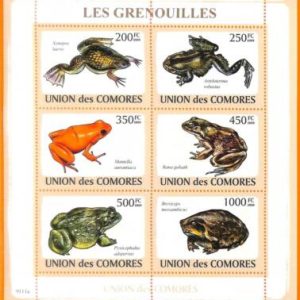 A5602 - COMOROS - ERROR, 2009, MISPERF MINIATURE SHEET: Frogs, Amphibians