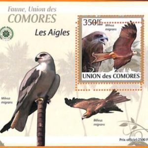 A5583 - COMOROS - ERROR, 2009, MISPERF SOUVENIR SHEET: Birds, Eagles