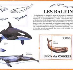 A5595 - COMOROS - ERROR, 2009 MISPERF SOUVENIR SHEET: Whales, Marine Life