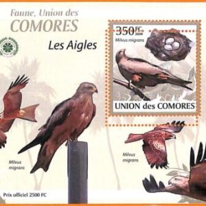 A5581 - COMOROS - ERROR, 2009, MISPERF SOUVENIR SHEET: Birds, Eagles