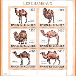 A5577 - COMOROS - ERROR, 2009, MISPERF MINIATURE SHEET: Camels, Fauna