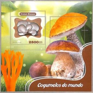 A5163 - GUINEA-BISSAU - ERROR MISPERF Souvenir sheet: 2014, Mushrooms