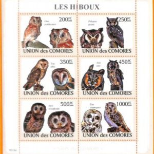A5570 - COMOROS - ERROR, 2009, MISPERF MINIATURE SHEET: Birds, Owls