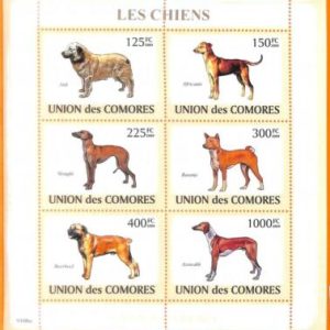 A5568 - COMOROS - ERROR, 2009, MISPERF MINIATURE SHEET: Dogs, Basenji, Sloughi
