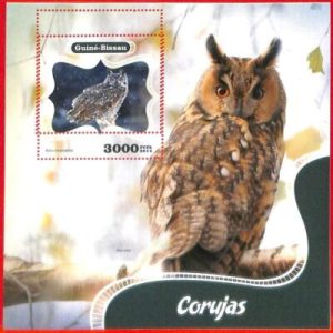 A5159 - GUINEA-BISSAU - ERROR MISPERF Souvenir sheet: 2014, Owls, Birds