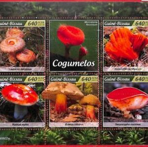 A1859 - GUINEA BISSAU, ERROR: MISSPERF, MINIATURE SHEET - 2019, Mushrooms