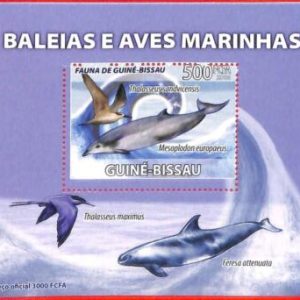 A5129 - GUINEA-BISSAU - ERROR - MISPERF Souvenir sheet: 2008, Whales, Birds