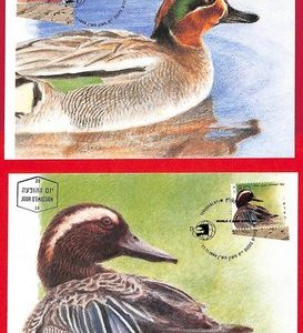 ai5909 - ISRAEL - Postal History - Set of 4 MAXIMUM CARD - Animals - 1989
