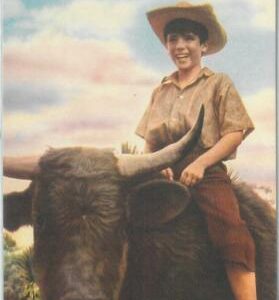 78859 - VINTAGE POSTCARD - CINEMA: Michael Ray
