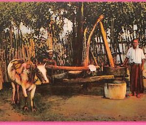 af9269 - MYANMAR  Burma  -  VINTAGE POSTCARD - Ethnic