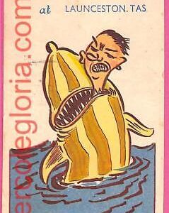 af9280 - AUSTRALIA -  VINTAGE POSTCARD - ILLUSTRATED - 1952 Launceston TASMANIA