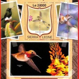 A4603 - SIERRA LEONE - ERROR MIPERF, Sonderblock: 2016, Kolibris