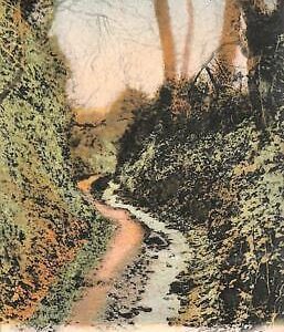 ac4717 - GB  -  VINTAGE POSTCARD: Guernsey - 1905