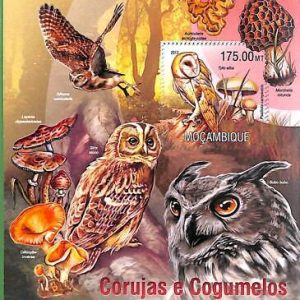 A2240 - MOZAMBIQUE - ERROR: MISPERF, Souvenir s - 2013, Mushrooms, Owls, Birds