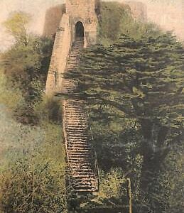 ac4754 - GB  -  VINTAGE POSTCARD: Carisbrooke Castle ISLE of WIGHT- 1906