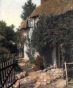 ac4783 - GB  -  VINTAGE POSTCARD: Isle of Wight
