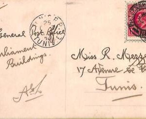 ac6774 - SOUTH AFRICA - Postal History - POSTCARD from NATAL to TUNIS  1910