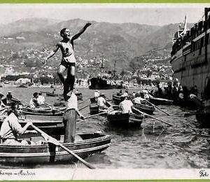 ad2458 - PORTUGAL - VINTAGE POSTCARD - Madeira - 1952