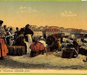 ad3585  - PORTUGAL - VINTAGE POSTCARD  -  Lisboa - Salting Fish