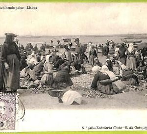 ad3590  - PORTUGAL - VINTAGE POSTCARD  -  Lisboa