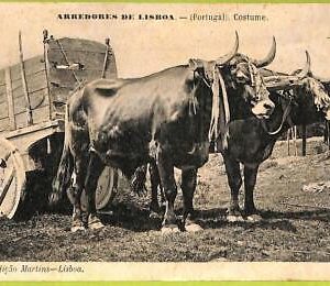 ad3598  - PORTUGAL - VINTAGE POSTCARD  -  Lisboa - Costumes - 1912